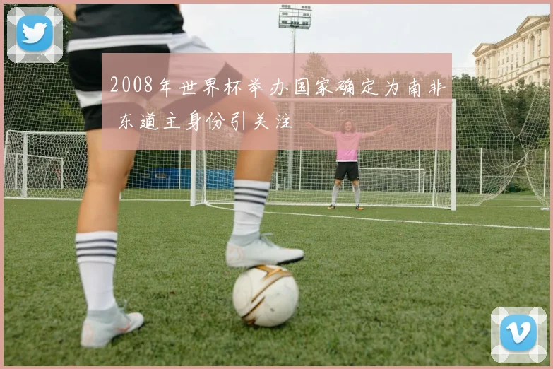 2008年世界杯举办国家确定为南非 东道主身份引关注