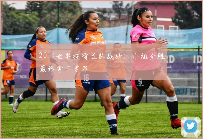 2014世界杯荷兰队战绩:小组全胜最终拿下季军
