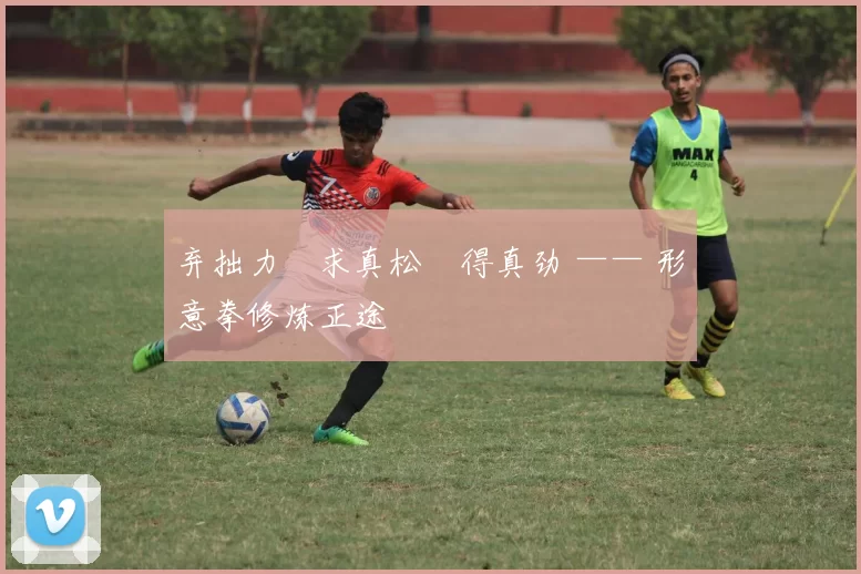 弃拙力・求真松・得真劲 —— 形意拳修炼正途